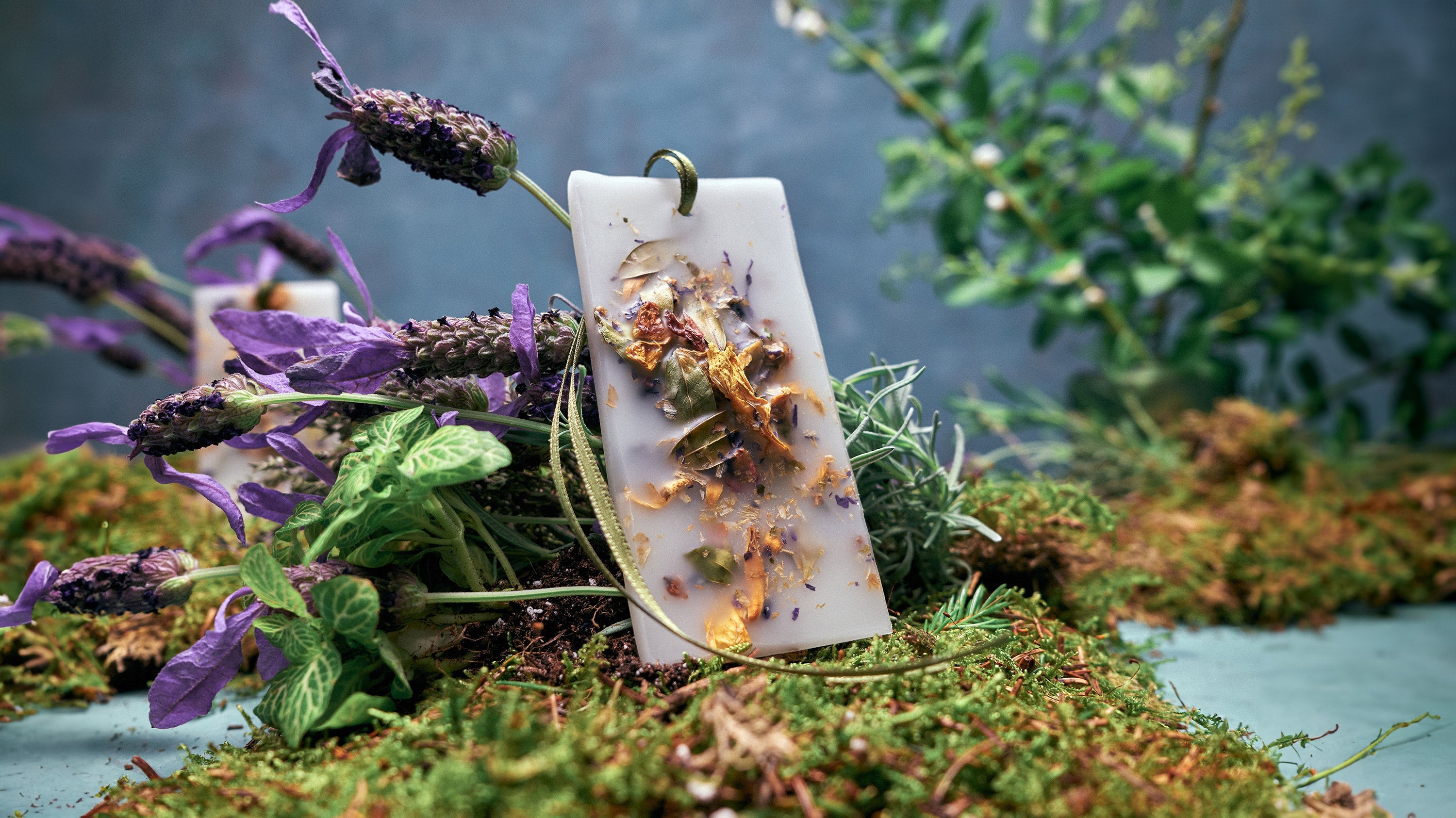 Tavolette di Cera Pot Pourri