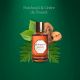 Fragrance Patchouly & Cedar of Tweed