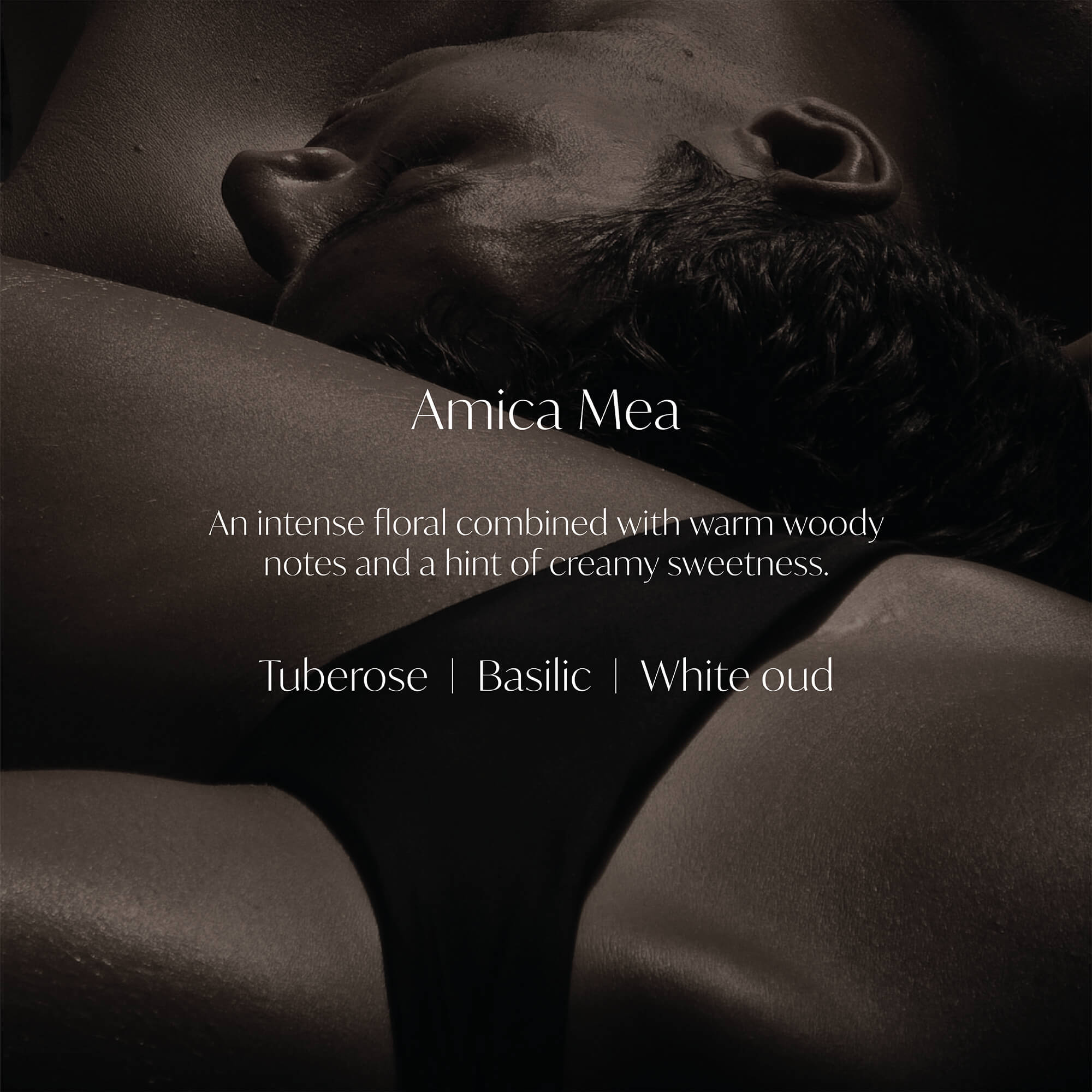 Amica Mea
