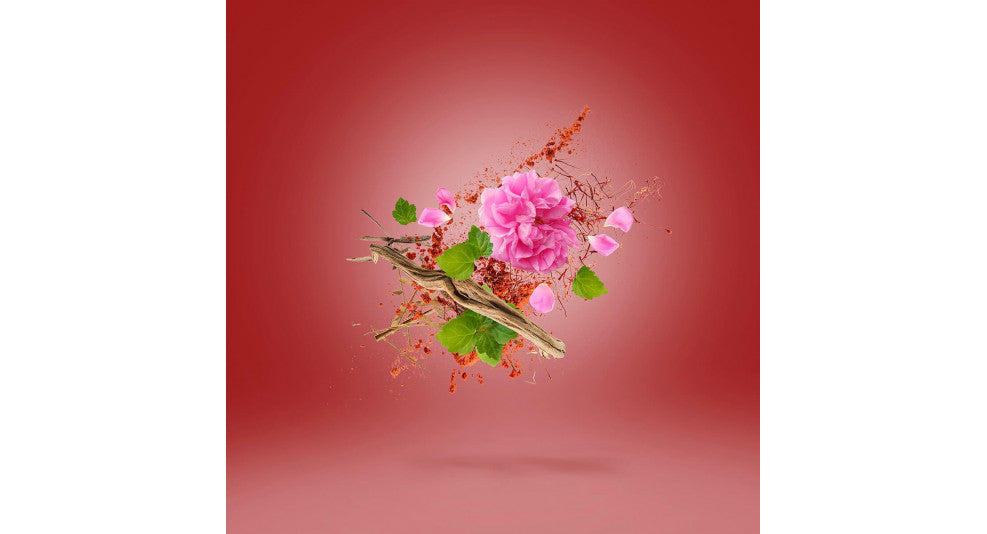 wardasina