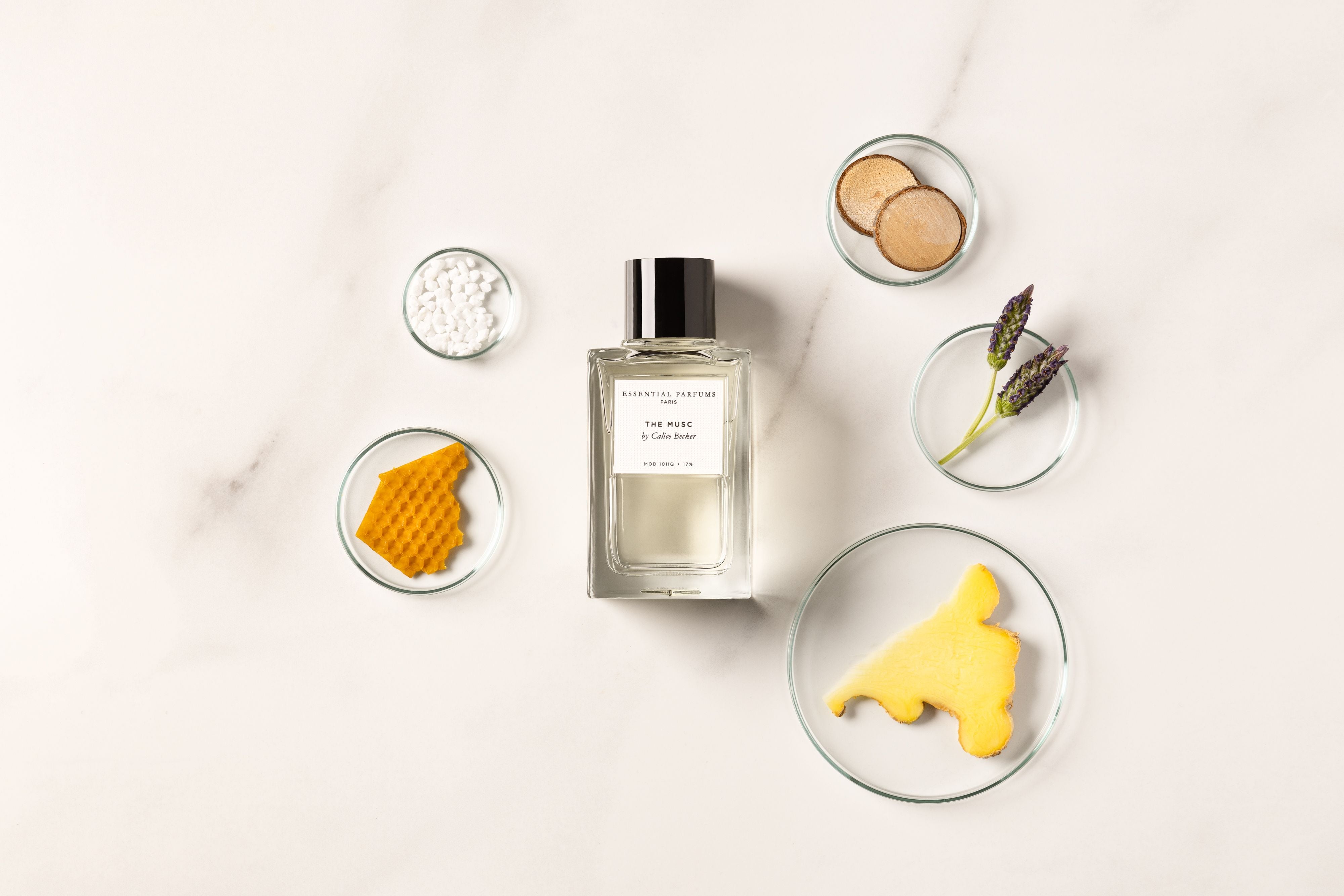 The Musc Liquid Body & Hand Soap 500 ml