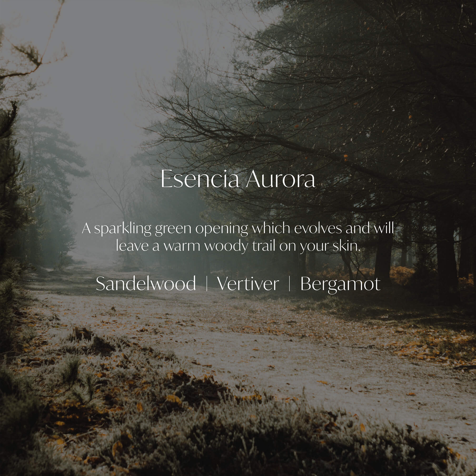 Esencia Aurora