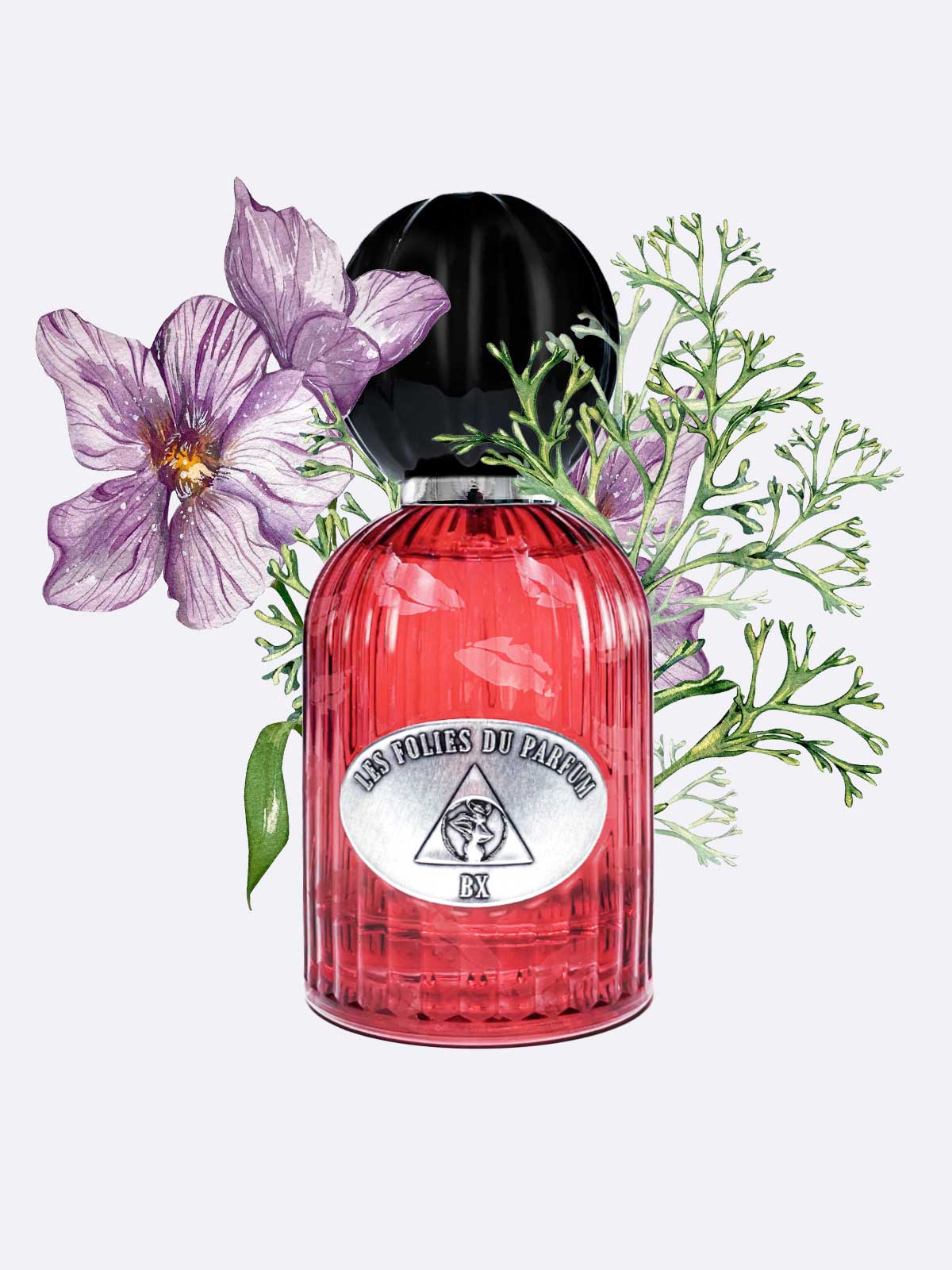Les Folies Du Parfum BX
