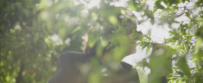 Néroli Botanica Eau de Parfum Refillable Spray